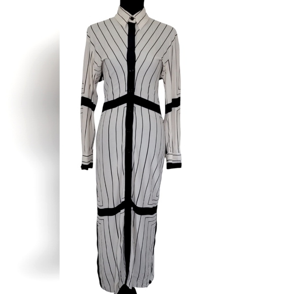 Zara Blogger Faves Striped Button Down Form fitting Maxi Dress - Picture 2 of 15